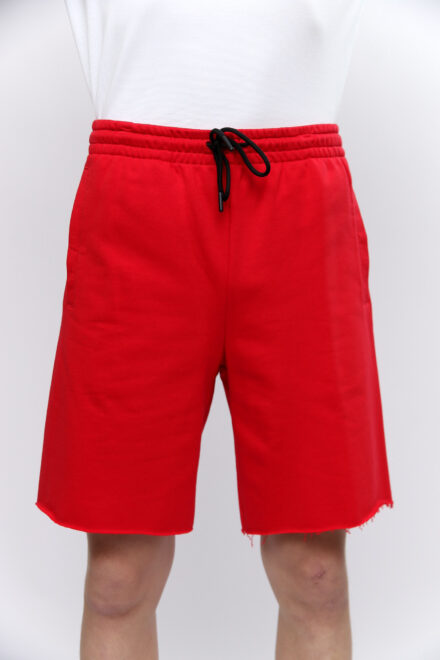 Шорты мужские Sport Wear