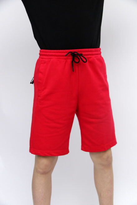 Шорты мужские Sport Wear
