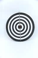 Дартс с дротиками