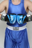 Перчатки боксерские BN